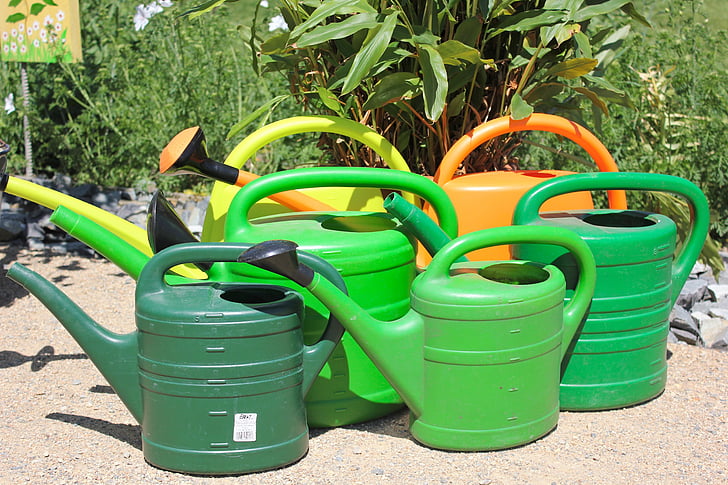 watering cans, water flowers, watering can, water, gardening, summer, garden