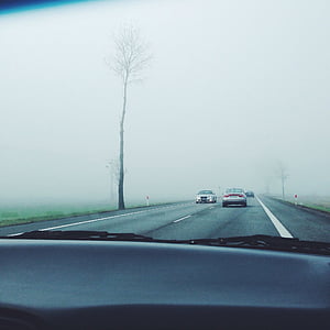 vezetés, szélvédő, jármű, meghajtó, ködös, forgalom, utazás