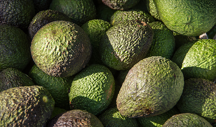 Hass avocado, Avocados, Obst, Grün, Ernte, abgeholt, frisch