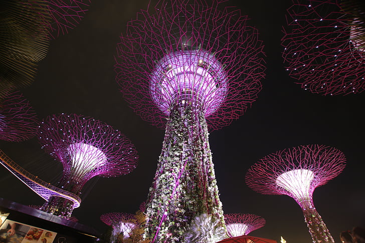 supertree, noční, Singapur, Architektura, světlo, orientační bod, moderní