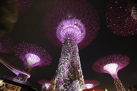 supertree, öö, Singapur, arhitektuur, valgus, Landmark, kaasaegne