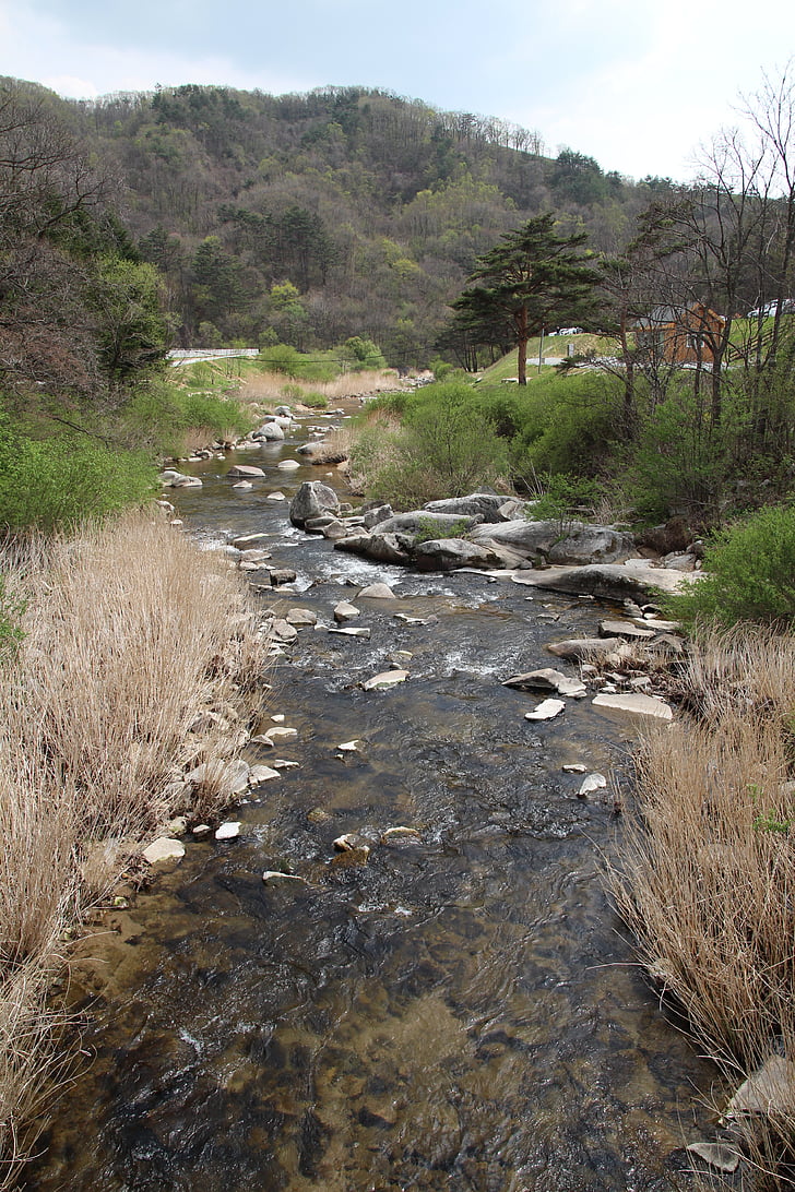 the creek, rivers, nature, water, pool, streams