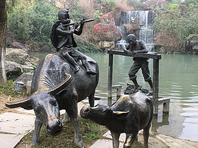 Búfalo de água, escultura, China, Ásia, animal, culturas