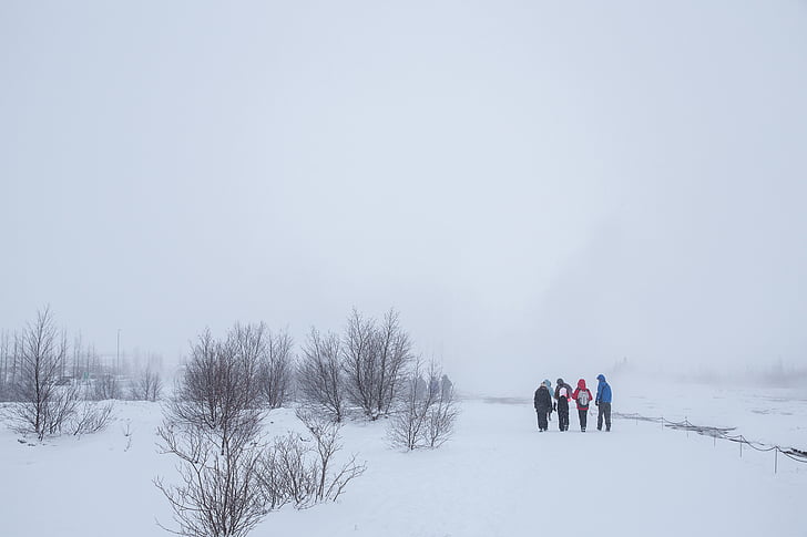four, people, snow, field, daytime, men, talking