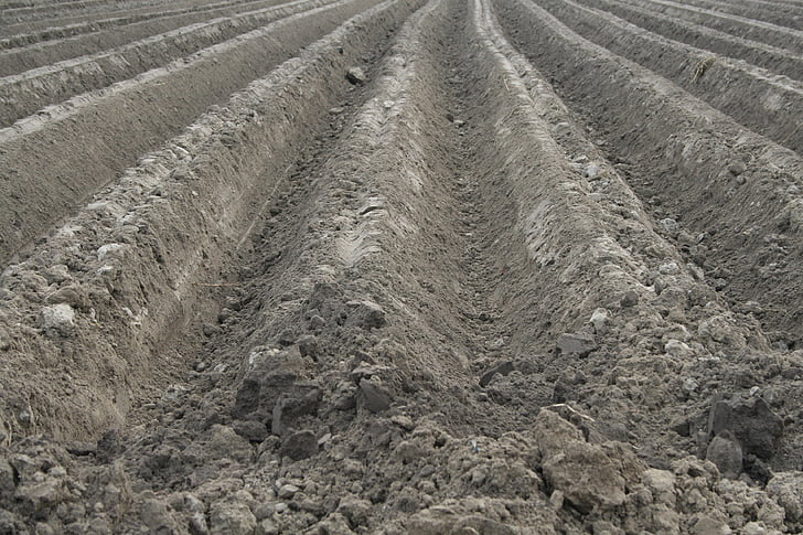 field, orka, soil, the cultivation of, agriculture, tillage, farmer