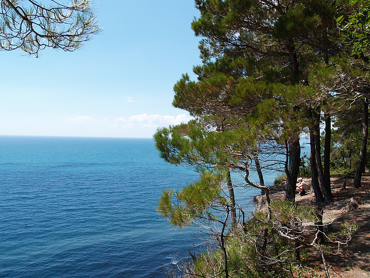 nature, sea, landscape
