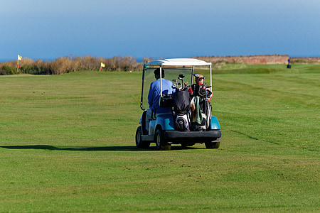 golf cart, amanti del golf, Buggy, uomini, uomo, persone, Golf