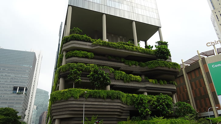 สิงคโปร์, สร้างความอยากรู้อยากเห็น, สีเขียว