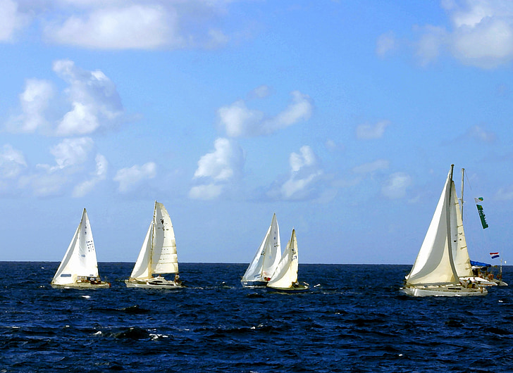 sailing boats, sea, ocean, sailboat, sport, nautical, blue