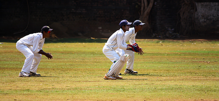 Cricket, Wicket, mantenimiento de la, práctica, juego de pelota, India, competencia