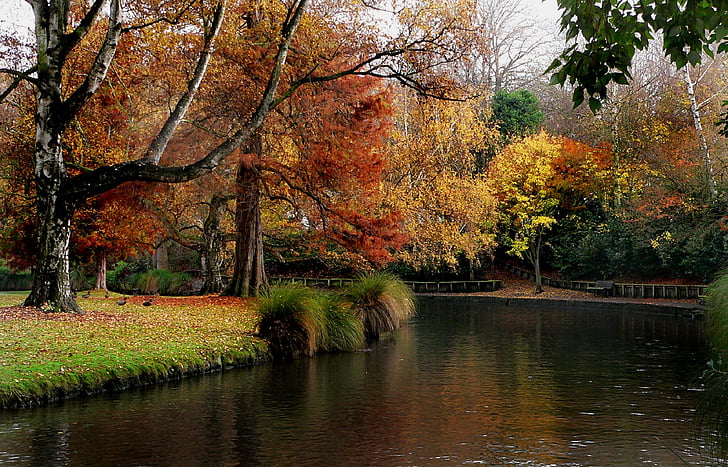 krajina, malebný, klid, klidný, mírové, botanické zahrady, Christchurch