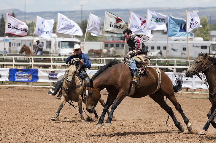 Cowboys, Bronc rider, Rodeo, Bronco, paard, man, bucking