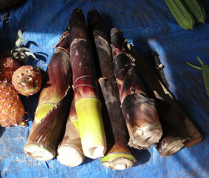 bamboo shoots, bamboo, vegetable, food, stall, goa, india