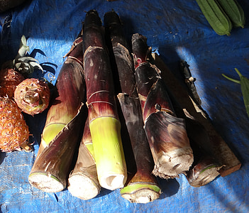 bambusové výhonky, bambus, zelenina, jídlo, stánek, Goa, Indie