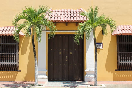 puerta, Palma, árbol de Palma, Colombia, Bolívar, Colombia, cultura
