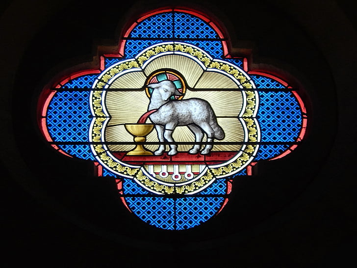 stained glass, church, lamb