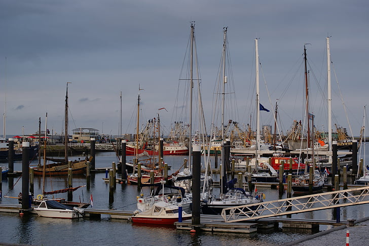 Port, Watt-tenger, csónakok, Hollandia, árbocok, kikötő, tengeri hajó