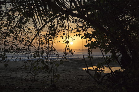 pludmale, saullēkts, saulriets, no rīta, vakarā, palmtree, Palm
