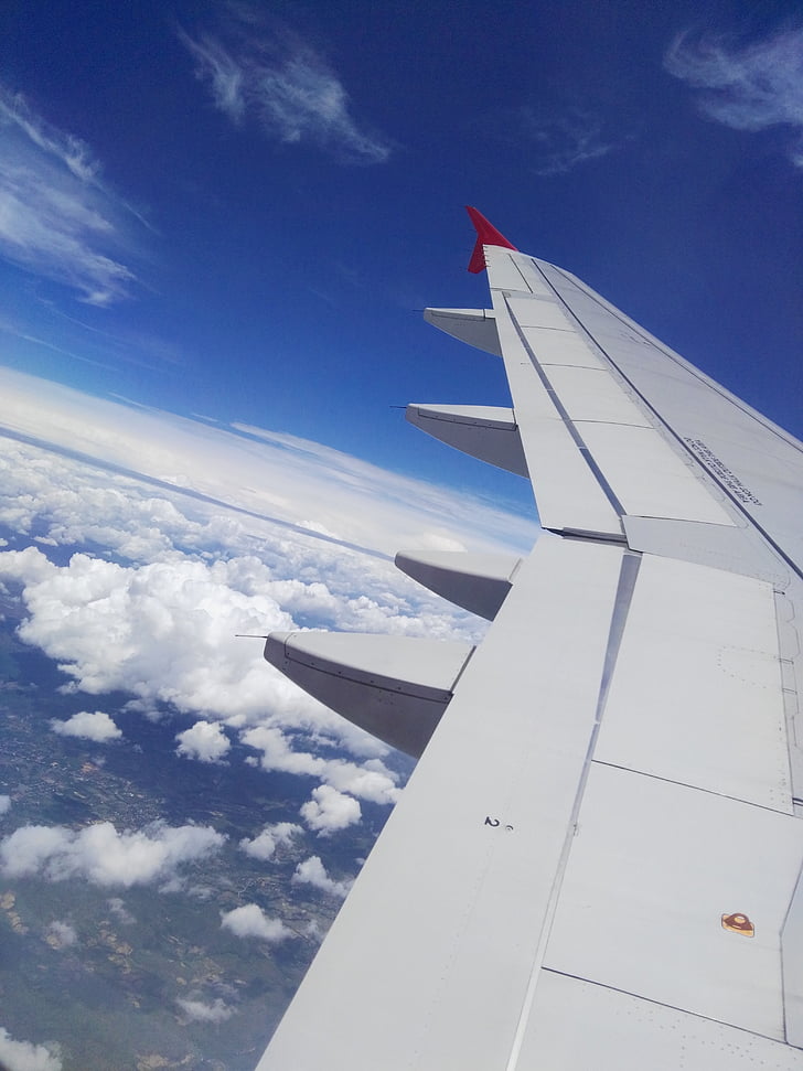 aircraft, clouds, wing, sky, fly, above the clouds