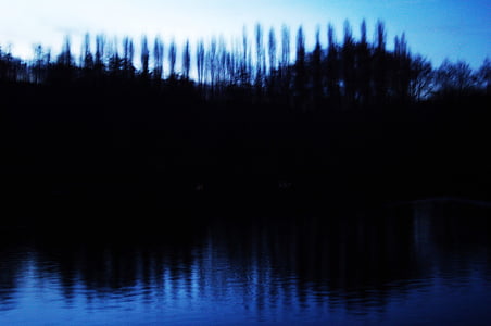 noć, ribnjak, stabla, krajolik, izvan fokusa, jezero, odraz