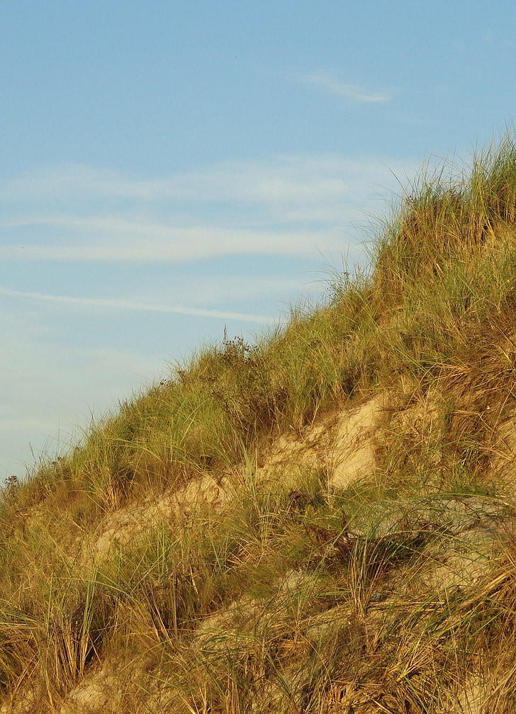 las dunas de arena, el mar Báltico, mar, hierba, verano, naturaleza, cielo