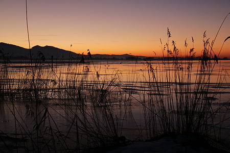 Lake, talvel, õhtul, Sunset, jää, külm, vee