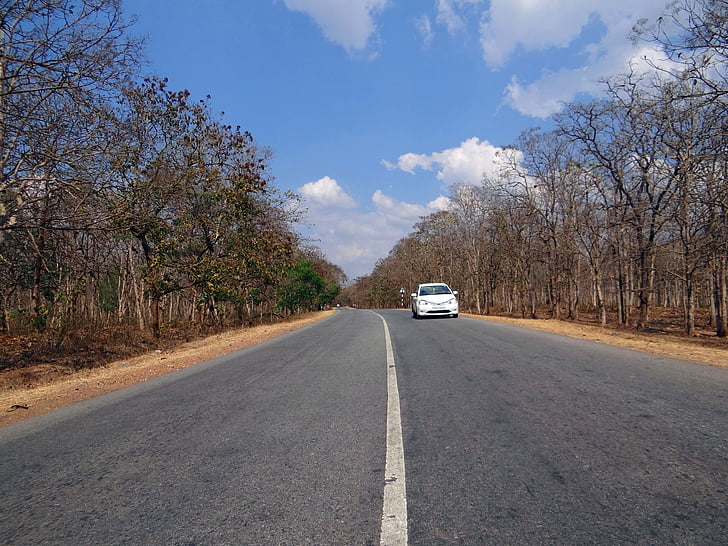 estrada, rua, carro, tráfego, autoestrada, Índia