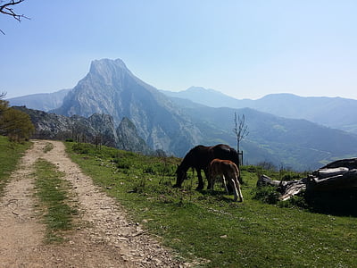 hegyek, lovak, Európa, Kantábria
