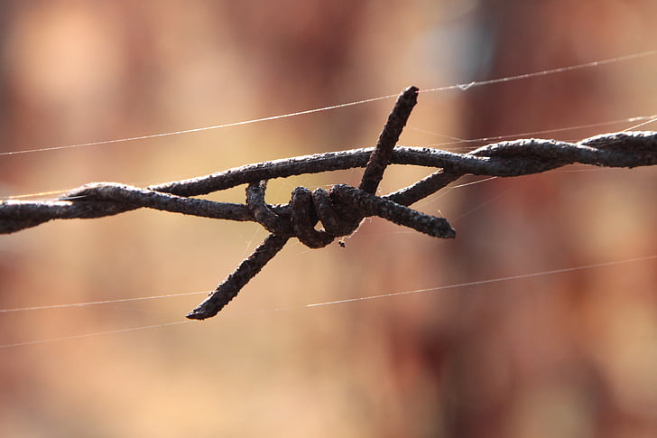 barbed, close-up, iron, old, rusty, wire, industries