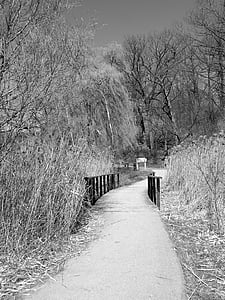 парк, разходка, пътека, мост, път, Черно и бяло, природата
