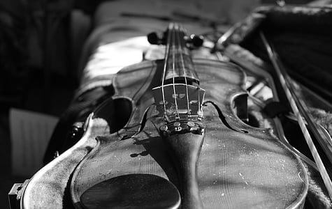 小提琴, 黑色和白色, 弓, 音乐, 工具, 艺术, 字符串
