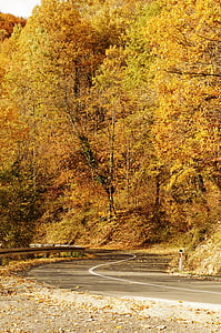 prázdné, cesta, podzim, na podzim, Bosna, asfalt, cestování