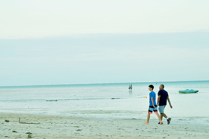 otec, syn, chôdze, Beach, Dovolenka, pobrežie, letné