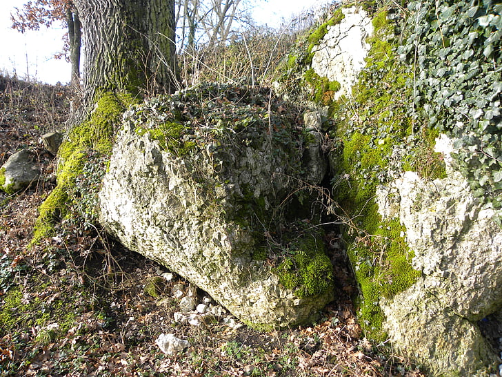 roca, Moss, naturaleza