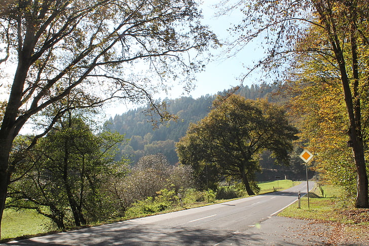 podzim, cesta, stromy, Avenue, řízení auta, listy, Německo