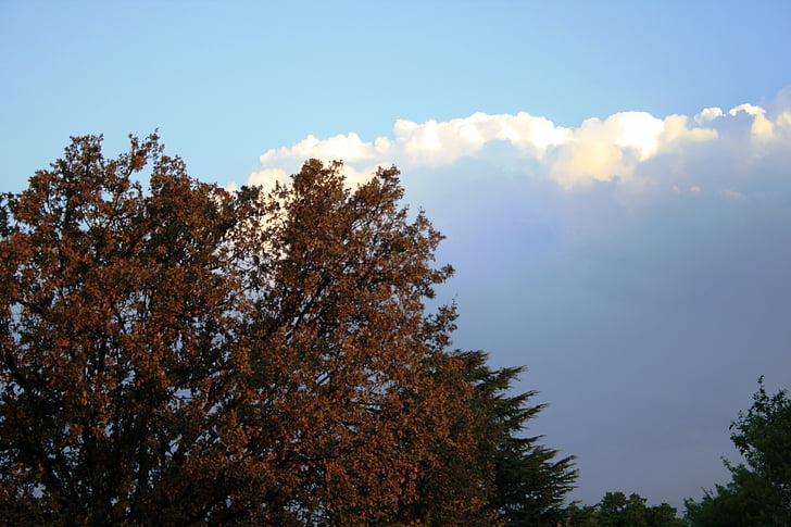 nuvens, Cumulus, Branco, grande, pesado, sombreado, captura a luz solar