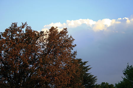 mraky, Cumulus, bílá, velké, těžký, se stínem ukazující vpravo, zachytávání slunečního záření