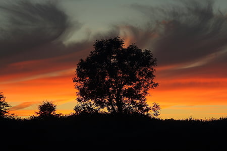 arbre, silhouette, coucher de soleil, Sky, unberührte, nature, tombée de la nuit