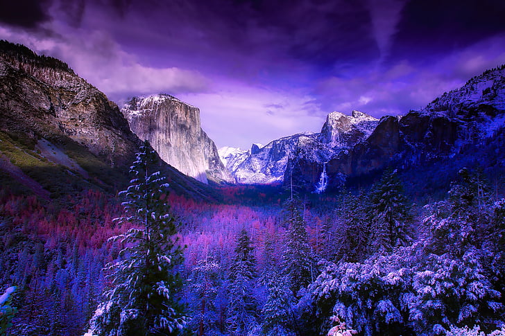 Yosemite, nemzeti park, California, hegyek, hó, téli, erdő