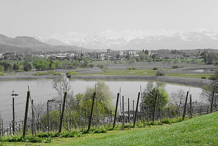 краєвид, озеро, pfäffikersee, Швейцарія, води, гори, виноградник