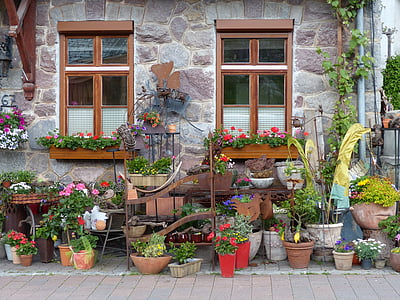finestra, flors, obturador, casa, façana, l'aire lliure, flor