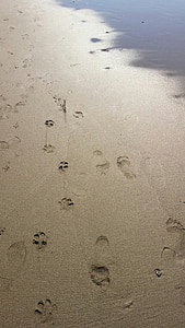 footprints, sand, beach, shore, sea, steps