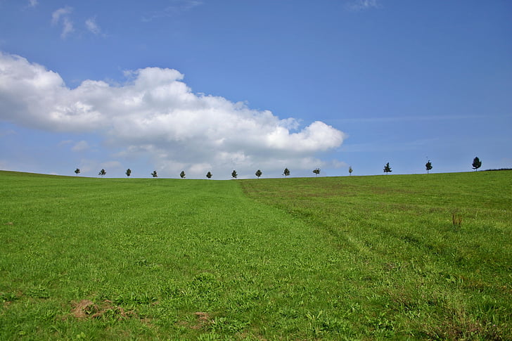 hill, trees, landscape, row of trees, series, sky, cloud