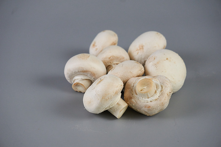 paris mushrooms, mycology, edible mushrooms, flavor, power, food, meals