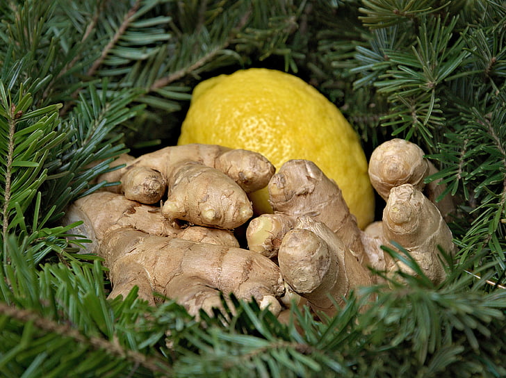 Ginger, citron, helgdagar, jul, kryddor, Sharp, äta