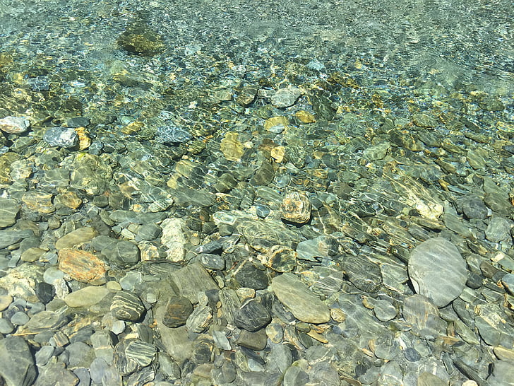 new zealand, creek, running water, water, still, surface, stone