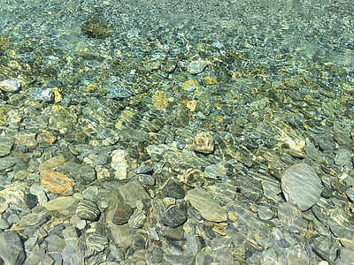 뉴질랜드, 크릭, 흐르는 물, 물, 여전히, 표면, 돌
