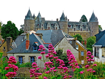 flowers, chateau, france, palace, medieval, spires, architecture