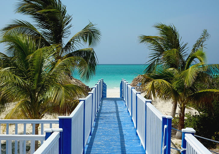 Kuba, Karibai, jūra, interneto, vasaros, atostogų, palmės
