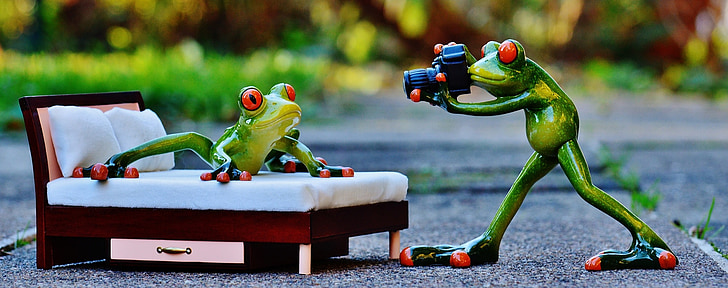 Fotograf, Frosch, Foto-Shooting, lustig, Kamera, Spaß, Tier